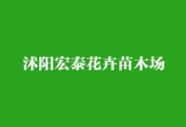 沭阳宏泰花卉苗木场官网